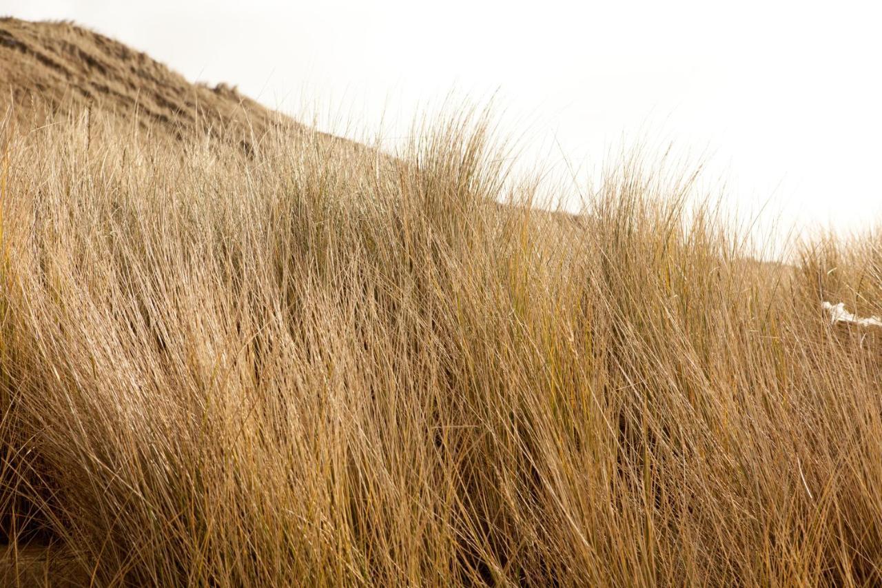 Villa Hof Aan Zee Dishoek Esterno foto