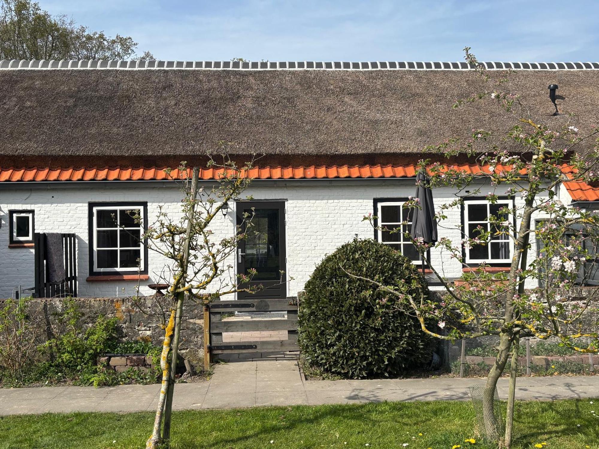 Villa Hof Aan Zee Dishoek Esterno foto