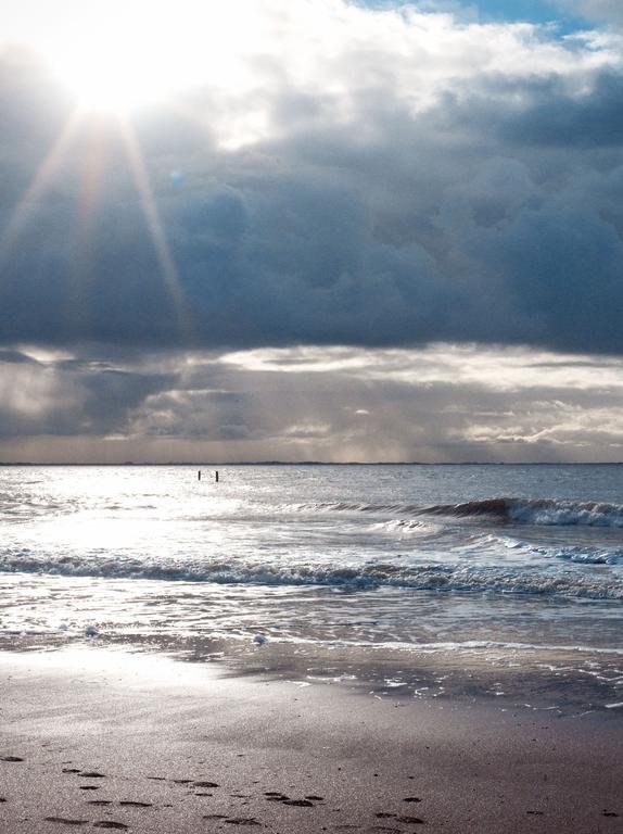 Villa Hof Aan Zee Dishoek Esterno foto